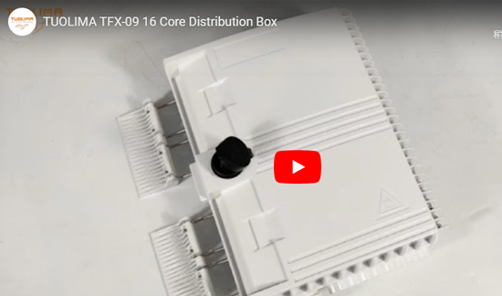 TFX-09 16 Nucleul de distribuție